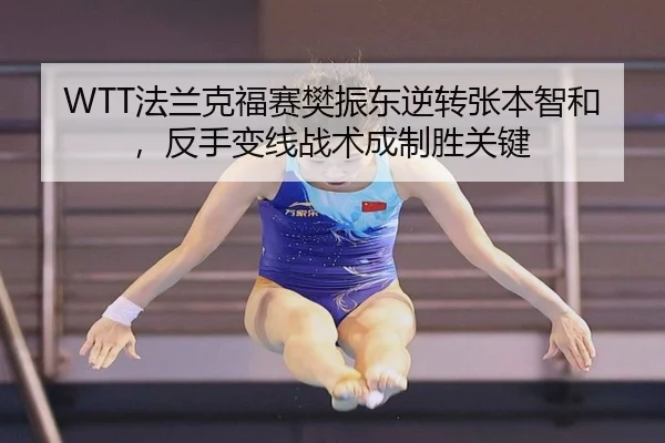 fa-lan-ke-fu-sai-fan-zhen-dong-ni-zhuan-zhang-ben-zhi-he-fan-shou-bian-xian-zhan-shu-cheng-zhi-sheng-guan-jian-2-810.jpg