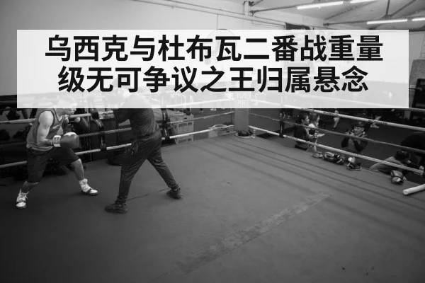 乌西克与杜布瓦二番战重量级无可争议之王归属悬念